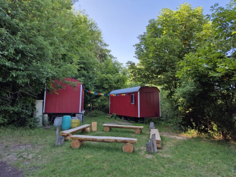 Ein Foto von zwei roten Bauwagen auf einer Wiese am Waldrand. Davor drei Holzbänke zu einer Sitzgruppe zusammengestellt.